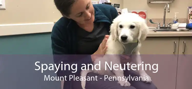 Spaying and Neutering Mount Pleasant - Pennsylvania