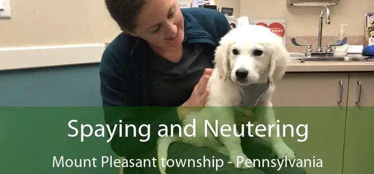 Spaying and Neutering Mount Pleasant township - Pennsylvania