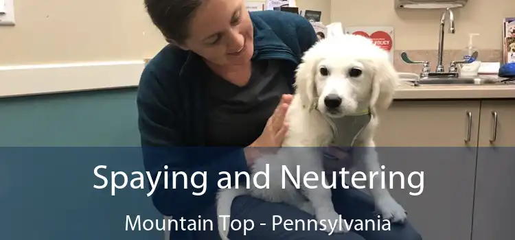 Spaying and Neutering Mountain Top - Pennsylvania