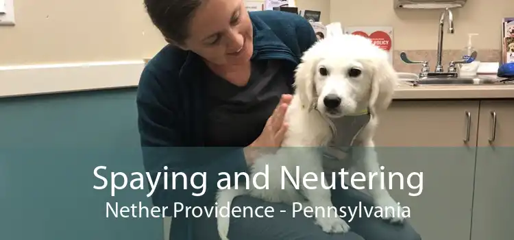 Spaying and Neutering Nether Providence - Pennsylvania