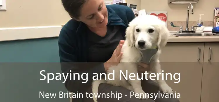 Spaying and Neutering New Britain township - Pennsylvania