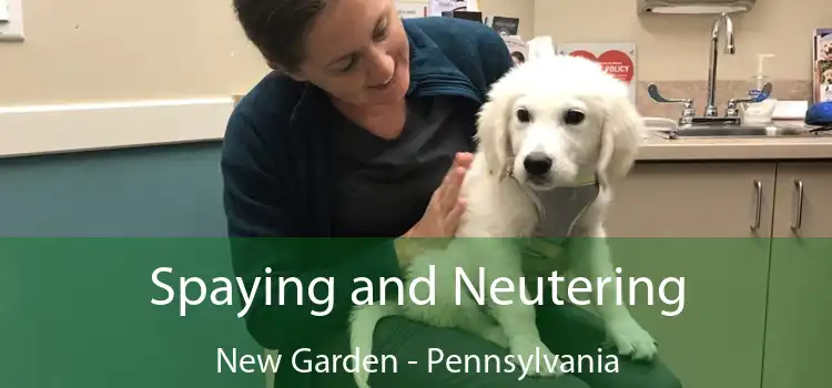 Spaying and Neutering New Garden - Pennsylvania