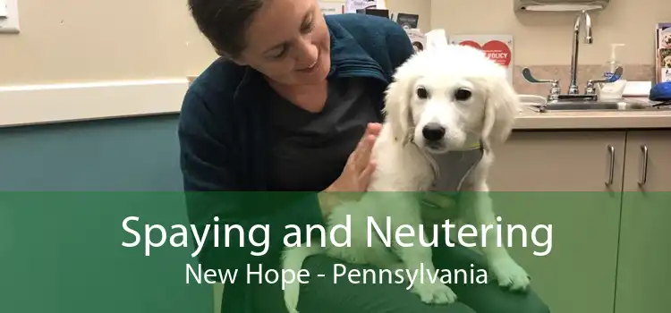 Spaying and Neutering New Hope - Pennsylvania