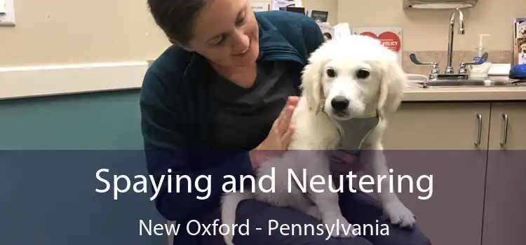 Spaying and Neutering New Oxford - Pennsylvania