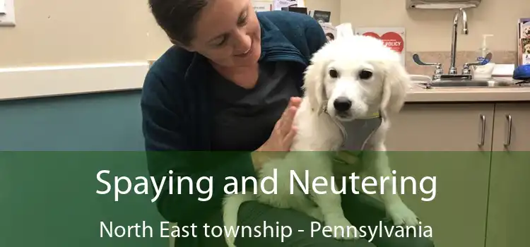 Spaying and Neutering North East township - Pennsylvania