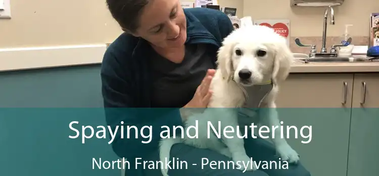Spaying and Neutering North Franklin - Pennsylvania