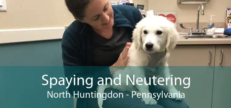Spaying and Neutering North Huntingdon - Pennsylvania