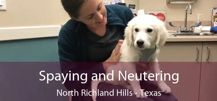 Spaying and Neutering North Richland Hills - Texas