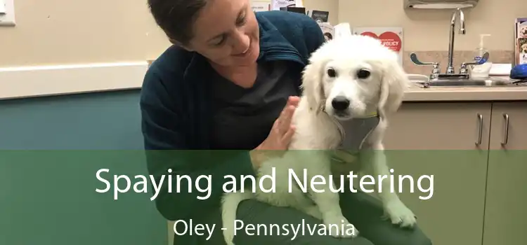 Spaying and Neutering Oley - Pennsylvania