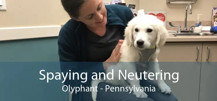 Spaying and Neutering Olyphant - Pennsylvania