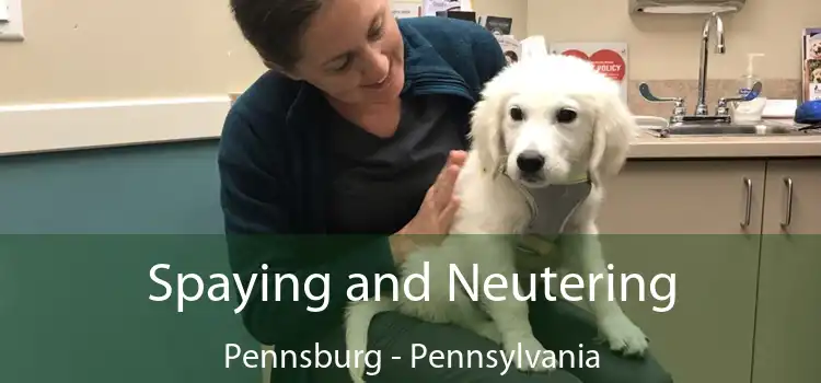 Spaying and Neutering Pennsburg - Pennsylvania