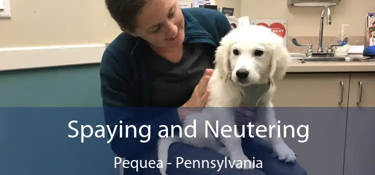 Spaying and Neutering Pequea - Pennsylvania