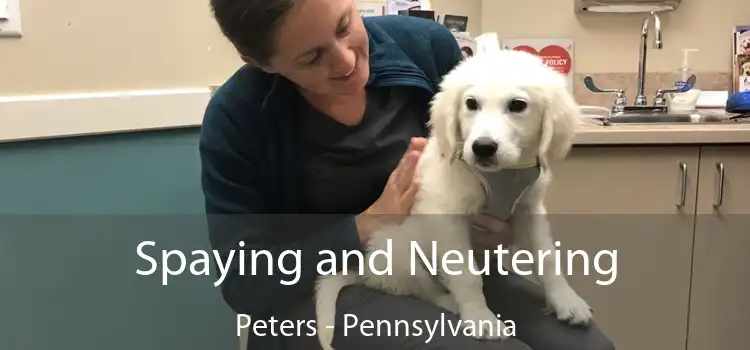 Spaying and Neutering Peters - Pennsylvania