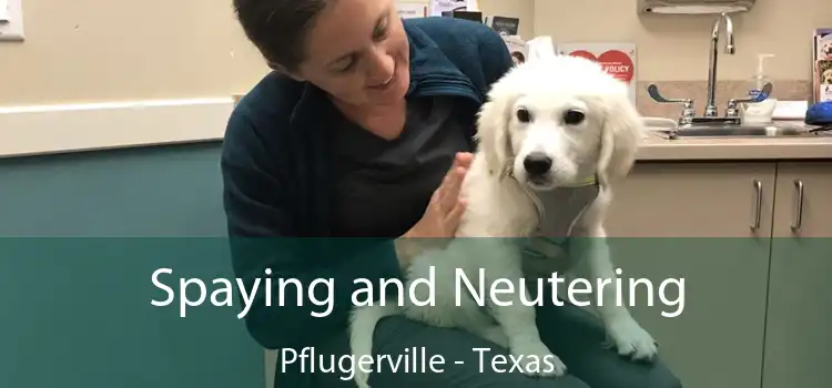 Spaying and Neutering Pflugerville - Texas
