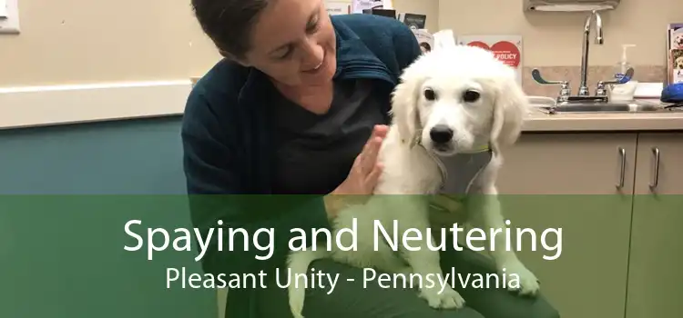 Spaying and Neutering Pleasant Unity - Pennsylvania