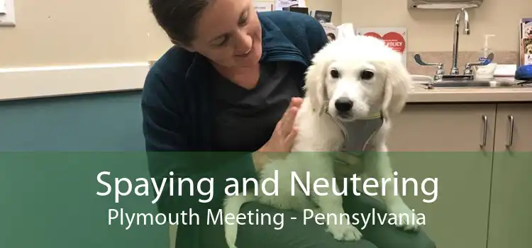 Spaying and Neutering Plymouth Meeting - Pennsylvania