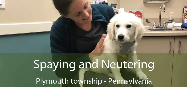 Spaying and Neutering Plymouth township - Pennsylvania
