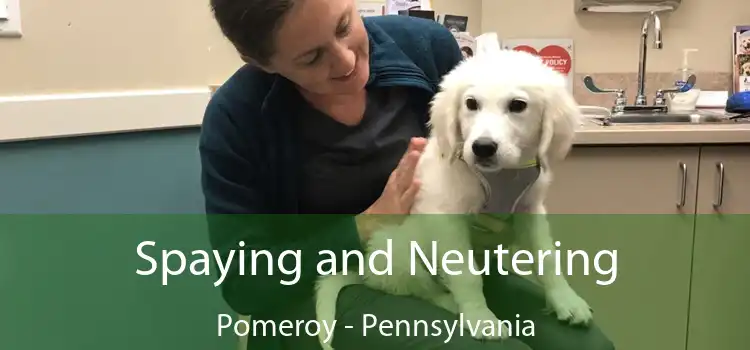 Spaying and Neutering Pomeroy - Pennsylvania