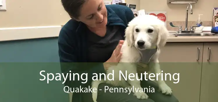 Spaying and Neutering Quakake - Pennsylvania