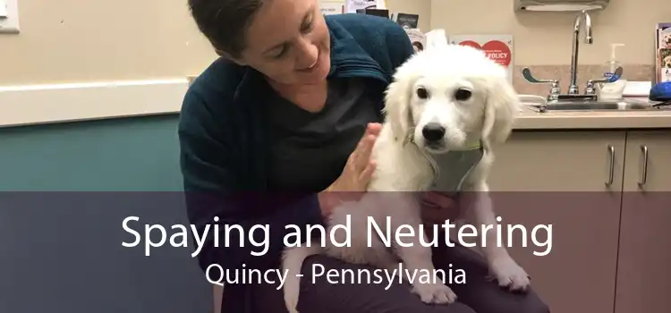 Spaying and Neutering Quincy - Pennsylvania