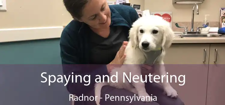 Spaying and Neutering Radnor - Pennsylvania