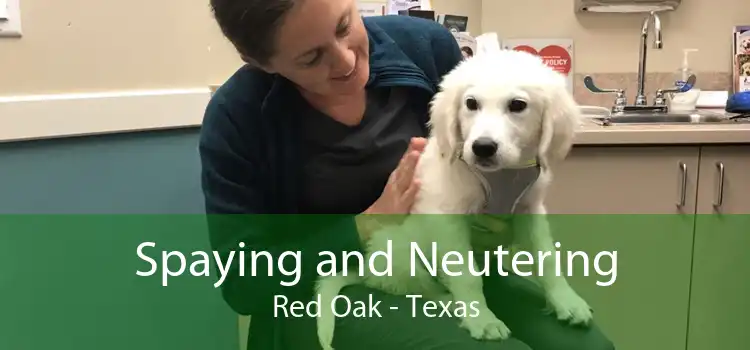 Spaying and Neutering Red Oak - Texas