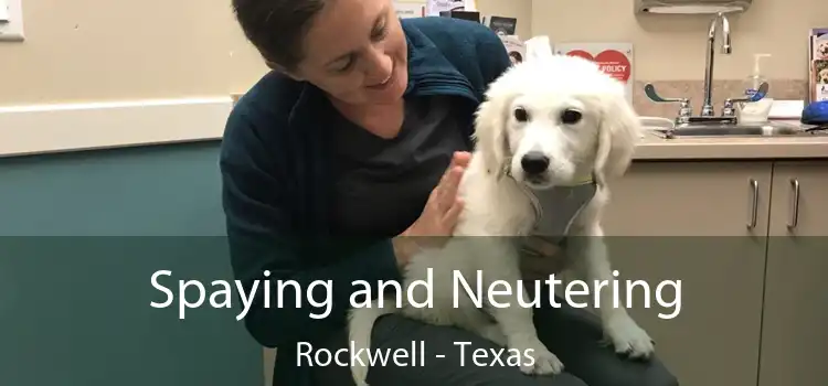 Spaying and Neutering Rockwell - Texas