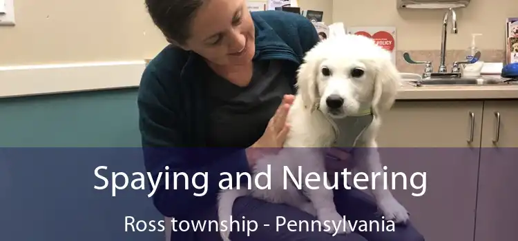 Spaying and Neutering Ross township - Pennsylvania