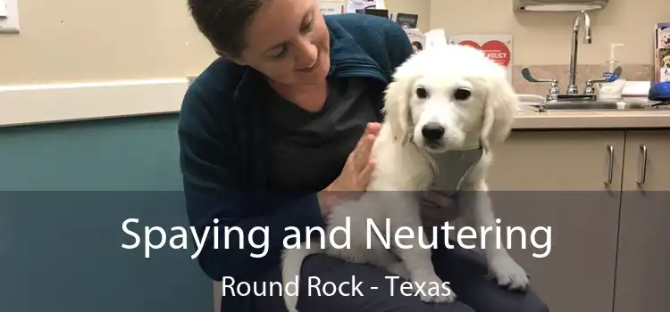 Spaying and Neutering Round Rock - Texas