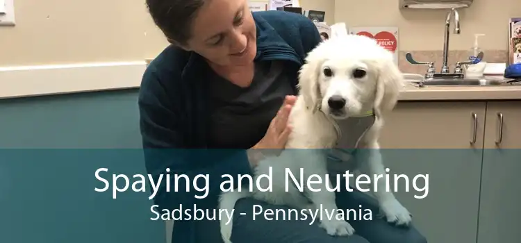 Spaying and Neutering Sadsbury - Pennsylvania