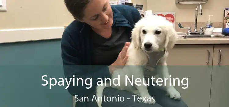 Spaying and Neutering San Antonio - Texas