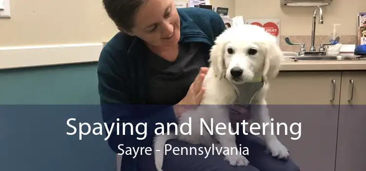 Spaying and Neutering Sayre - Pennsylvania