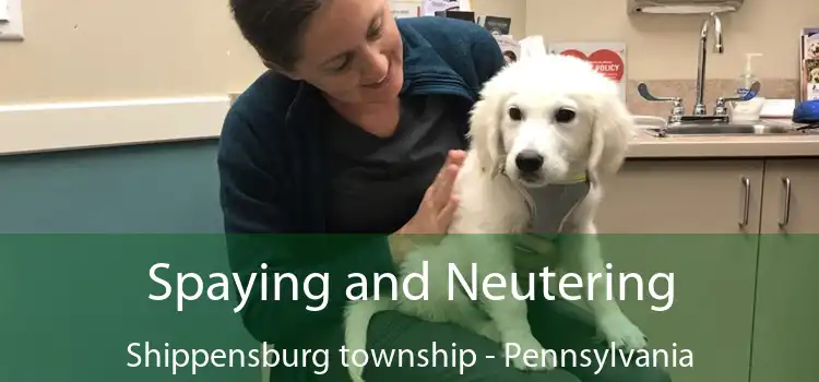 Spaying and Neutering Shippensburg township - Pennsylvania