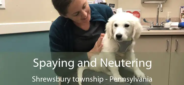Spaying and Neutering Shrewsbury township - Pennsylvania