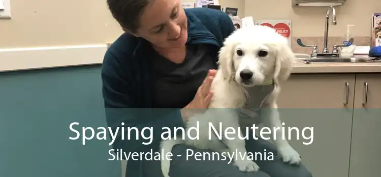 Spaying and Neutering Silverdale - Pennsylvania