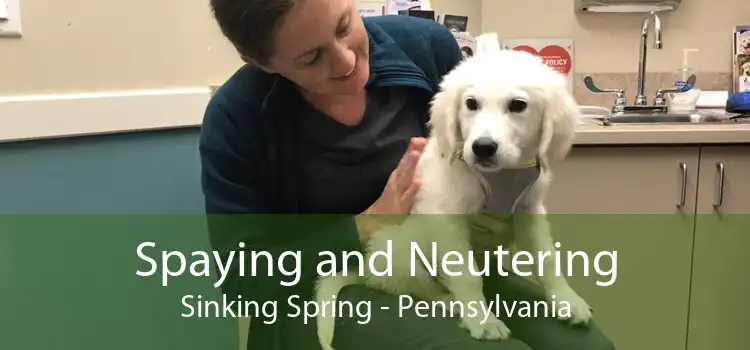 Spaying and Neutering Sinking Spring - Pennsylvania