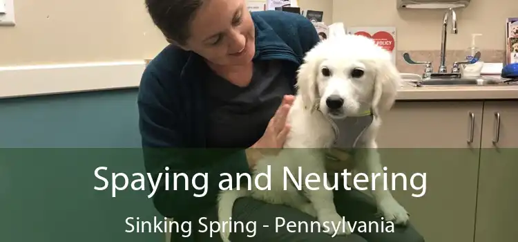 Spaying and Neutering Sinking Spring - Pennsylvania