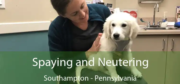 Spaying and Neutering Southampton - Pennsylvania