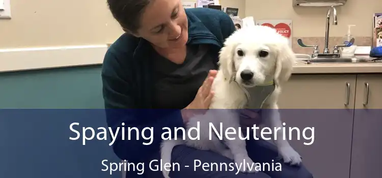 Spaying and Neutering Spring Glen - Pennsylvania