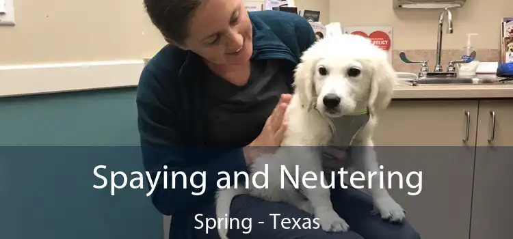 Spaying and Neutering Spring - Texas