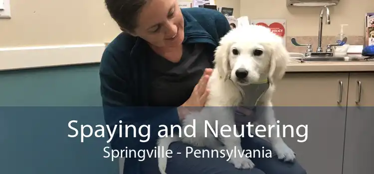 Spaying and Neutering Springville - Pennsylvania