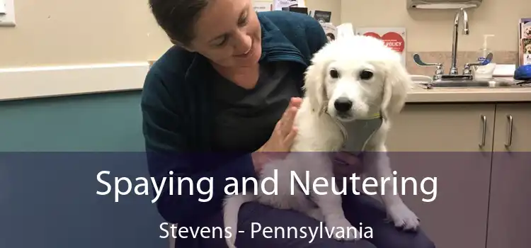 Spaying and Neutering Stevens - Pennsylvania