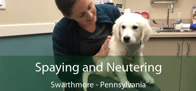 Spaying and Neutering Swarthmore - Pennsylvania
