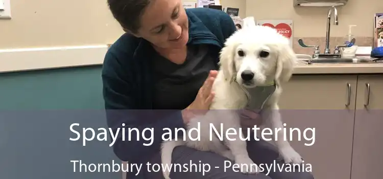 Spaying and Neutering Thornbury township - Pennsylvania