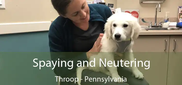 Spaying and Neutering Throop - Pennsylvania