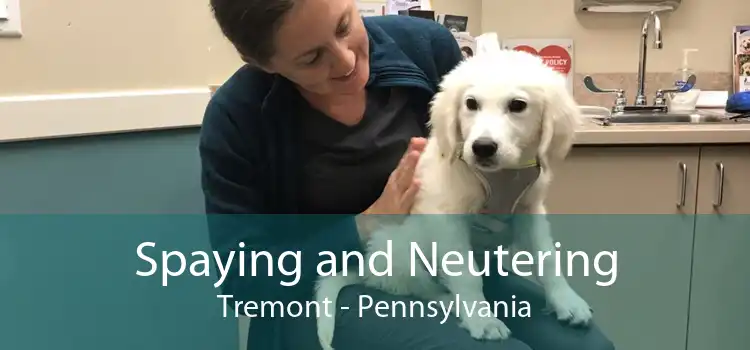 Spaying and Neutering Tremont - Pennsylvania