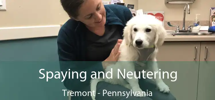 Spaying and Neutering Tremont - Pennsylvania