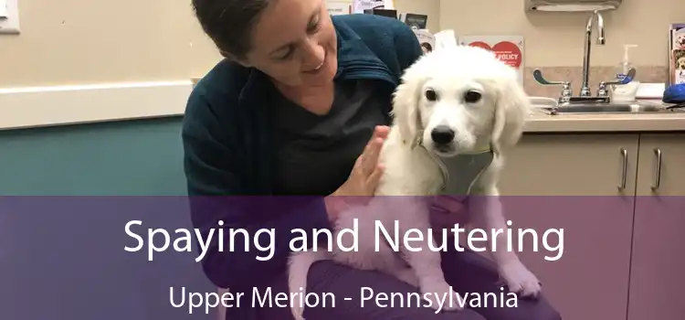 Spaying and Neutering Upper Merion - Pennsylvania