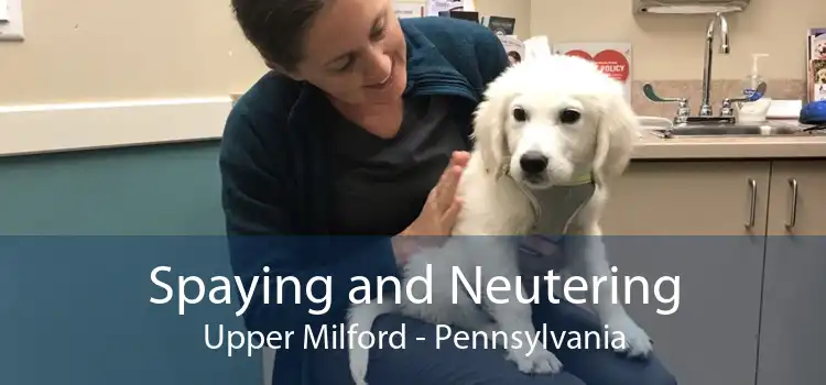 Spaying and Neutering Upper Milford - Pennsylvania