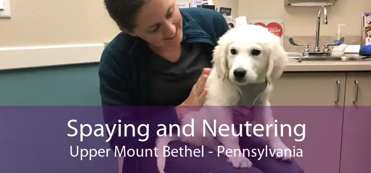 Spaying and Neutering Upper Mount Bethel - Pennsylvania